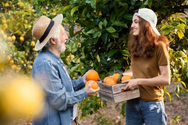 woman helping her dad get some oranges from trees garden 23 2148980214 1